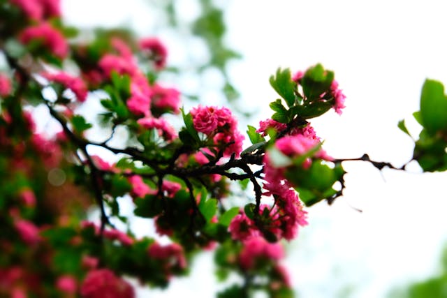 Prayer for January 06 2026