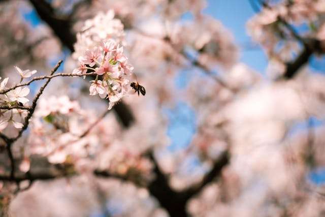 Prayer for February 20 2026