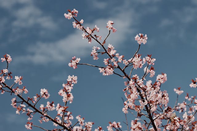 Prayer for February 09 2026