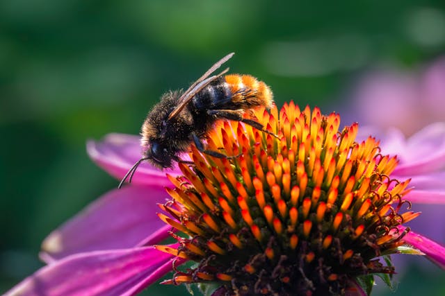 Prayer for February 24 2026