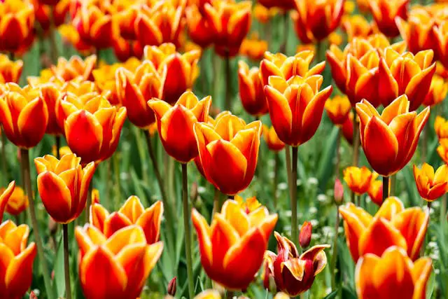 Prayer For February 12 2026