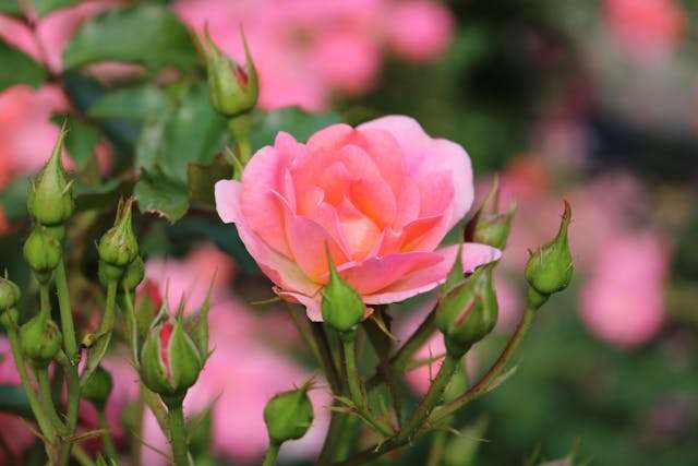 Prayer for March 30 2026