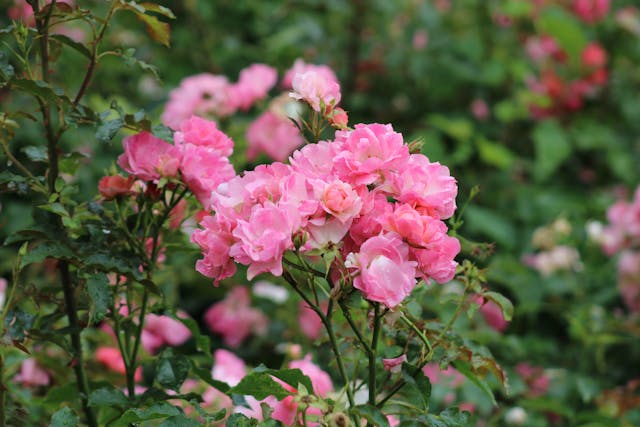 Prayer for March 29 2026