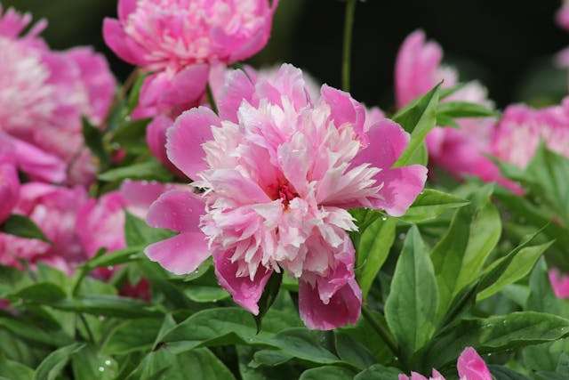 Prayer for March 07 2026