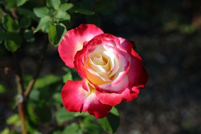 Prayer for March 16 2026