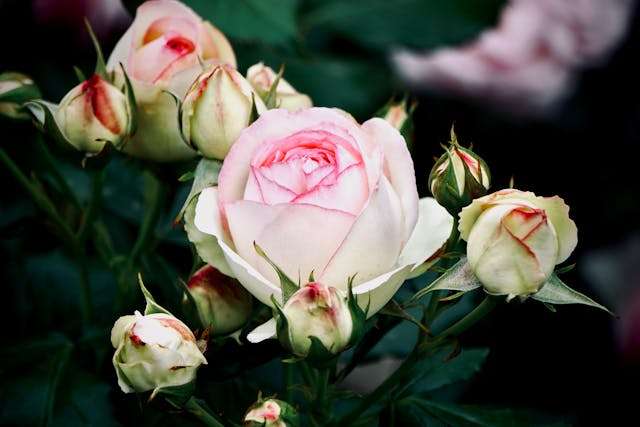 Prayer for March 28 2026