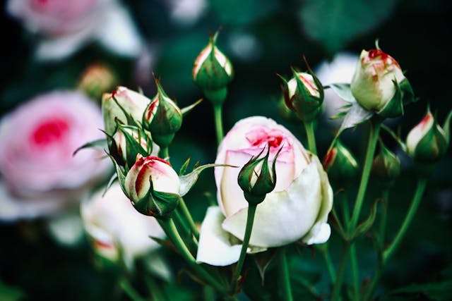 Prayer for March 31 2026