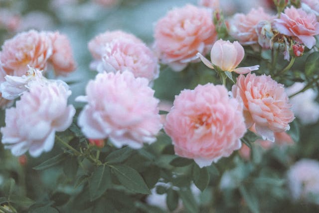 Prayer For March 01 2026