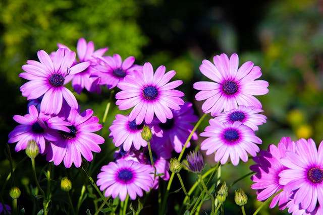 Prayer For March 09 2026