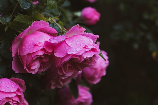 Prayer for March 02 2026