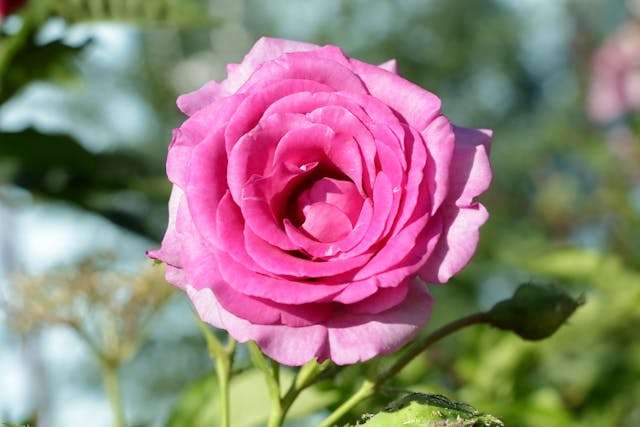 Prayer for March 14 2026