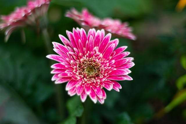 Prayer for March 06 2026