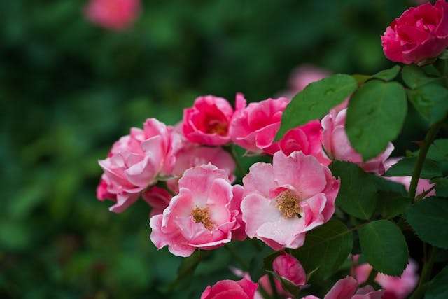 Prayer for March 23 2026