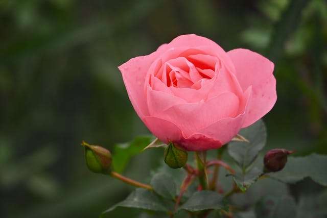 Prayer for April 08 2026