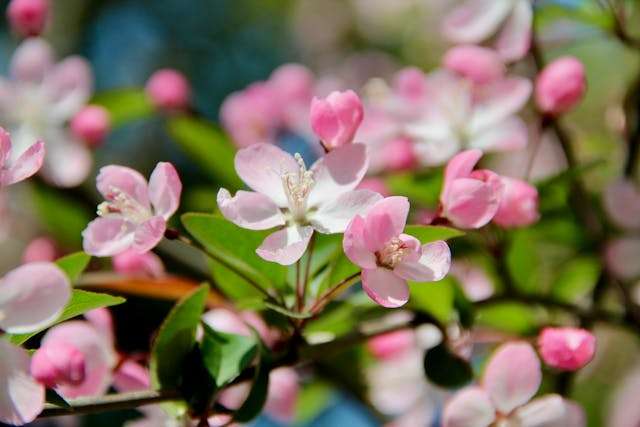 Prayer for April 15 2026