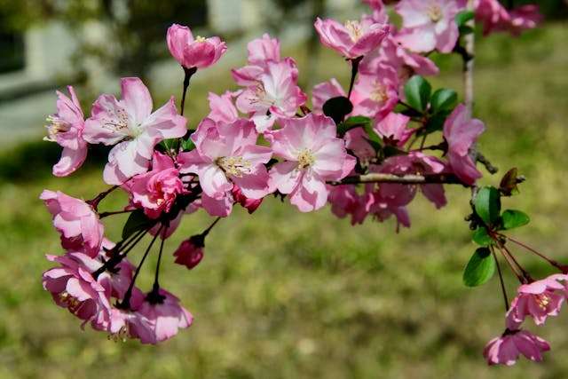 Prayer for April 18 2026