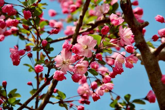 Prayer for April 16 2026