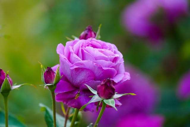 Prayer for April 09 2026