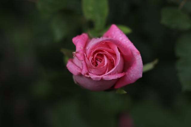 Prayer for April 01 2026