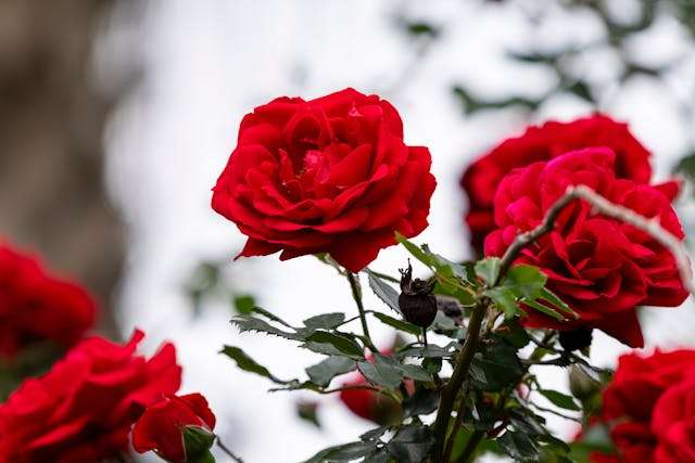 Prayer for April 11 2026