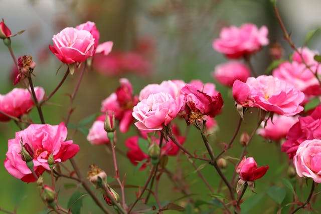 Prayer for April 03 2026