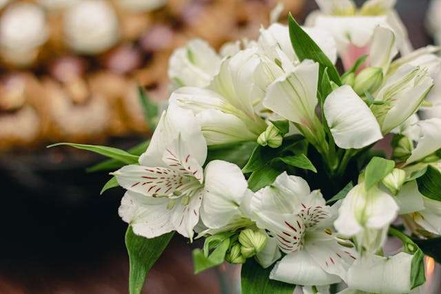 White flowers in a bouquet