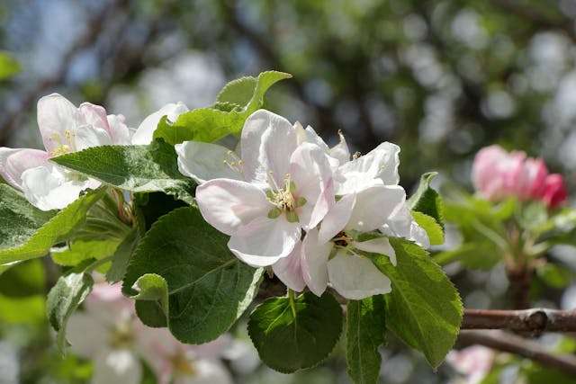 Prayer for April 14 2026