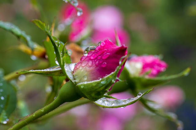 Prayer for April 02 2026