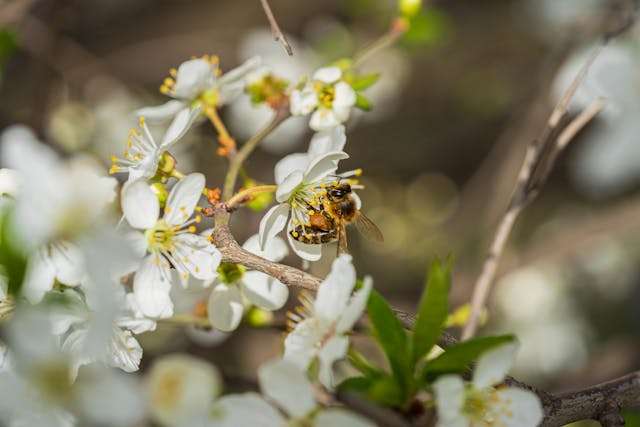 Prayer for April 28 2026