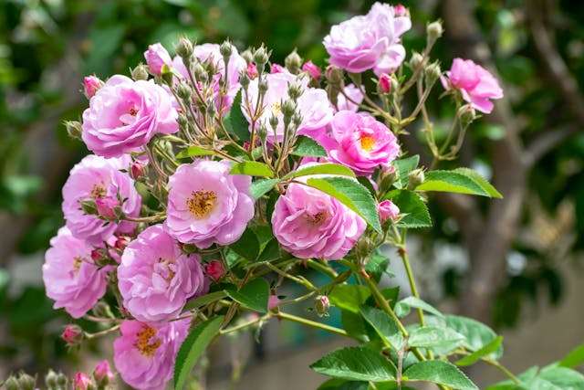 Prayer for April 10 2026