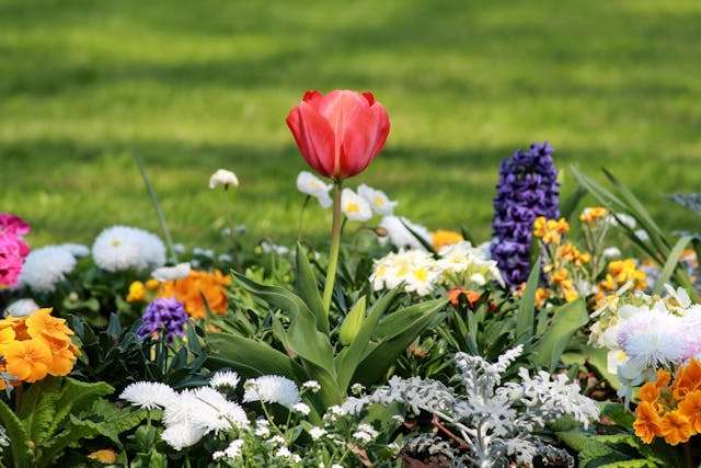 Prayer for May 30 2026