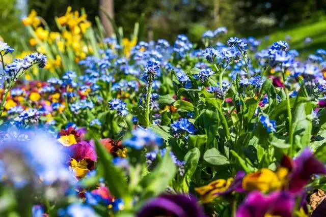 Prayer for May 31 2026