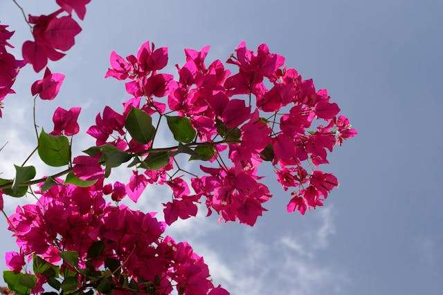 Prayer for May 11 2026