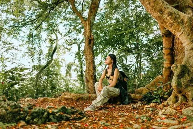 Person sitting in a lush forest.
