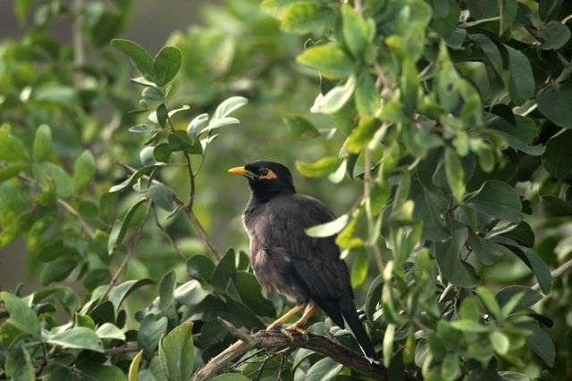 Prayer for July 07 2026