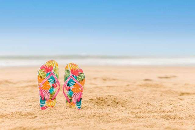 Flops standing on a sandy beach with a clear blue sky.